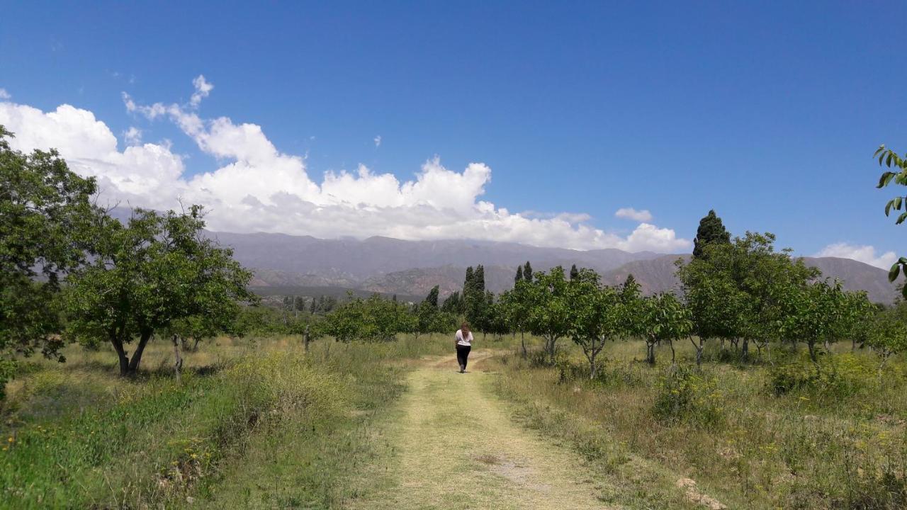 Cuesta De San Miguel * Chilecito