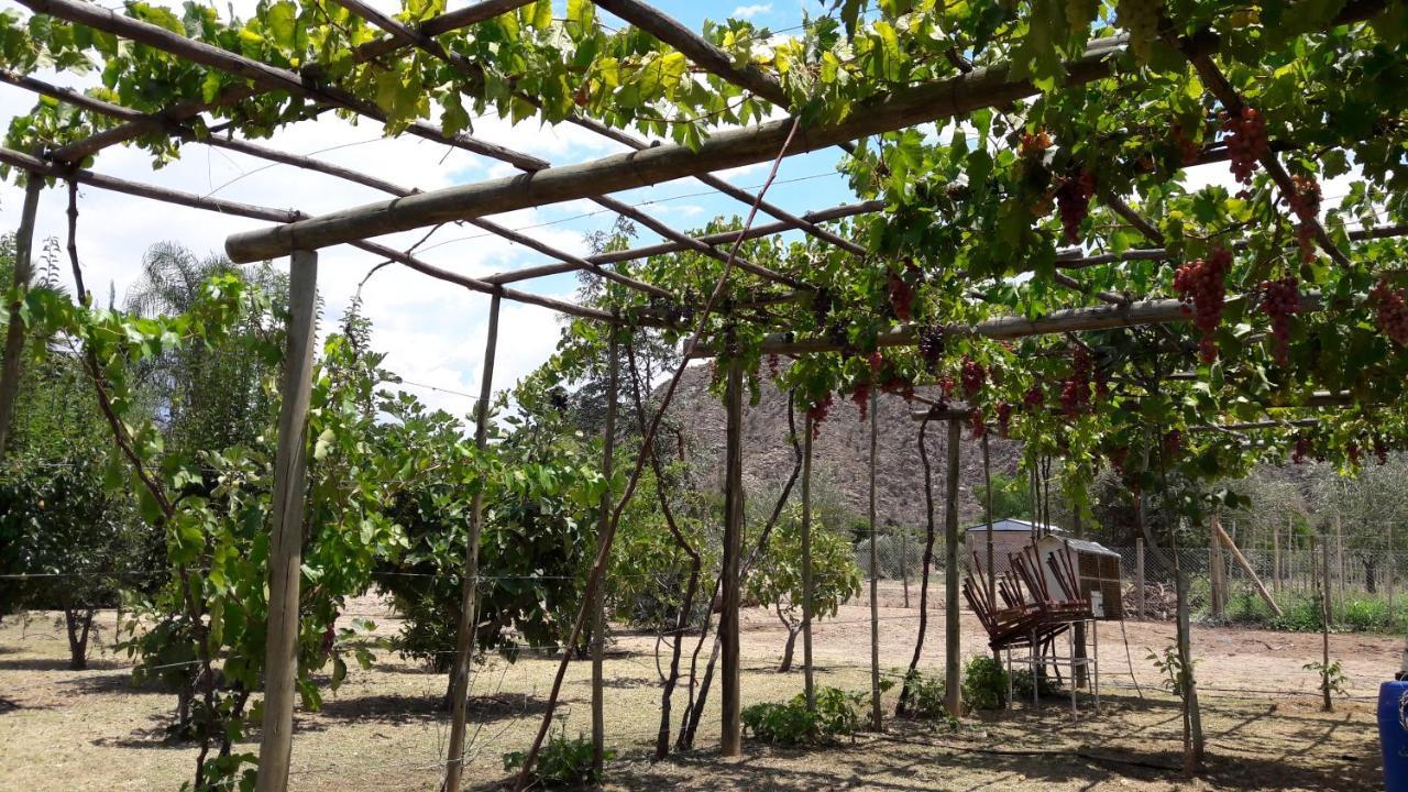 Cuesta De San Miguel * Chilecito
